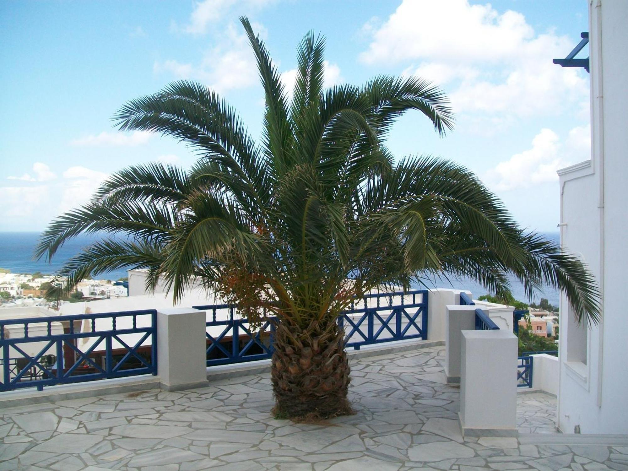 Aegean View Hotel Камари Экстерьер фото